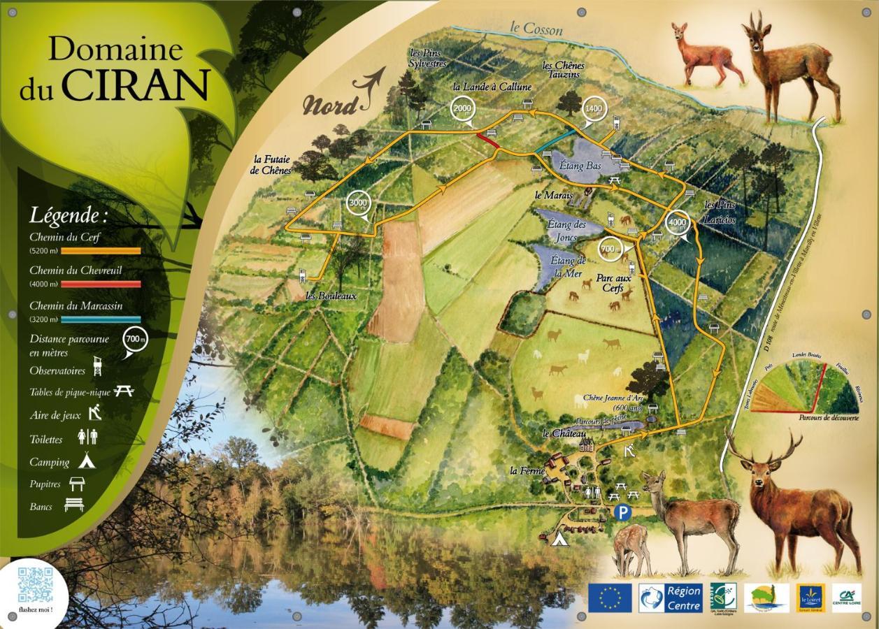 Le Cocoon D'Annabelle - Jolie Maison Avec Jeux Et Grand Jardin Pierrefitte-sur-Sauldre المظهر الخارجي الصورة